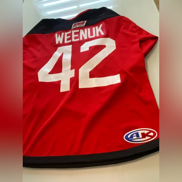 Custom “Weenuk #42” Devil Mascot Hockey Jersey – Adult Size L - Picture 9 of 9